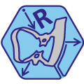 Rubberdamology-logo-04-WP